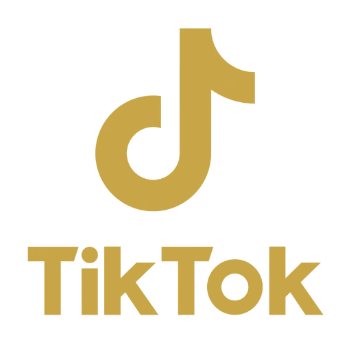 TikTokアイコン